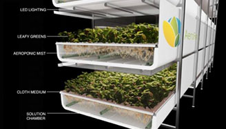 Vertical agriculture innovative technology, in the agricultural field shine!