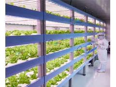 Multi-span Greenhouses - Fully Enclosed Plant Factory