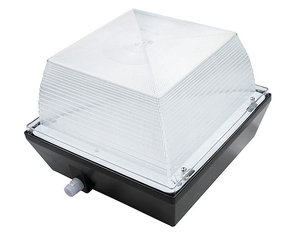 LED Garge Canopy Light