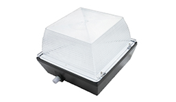 LED Garge Canopy Light
