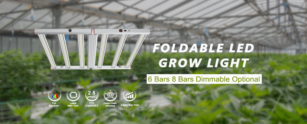 Foldable LED Grow Lights